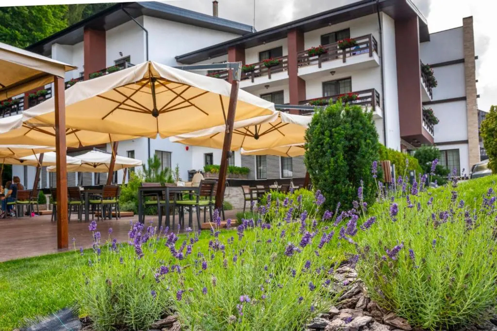 Piatra Pinului Ski Hotel & SPA