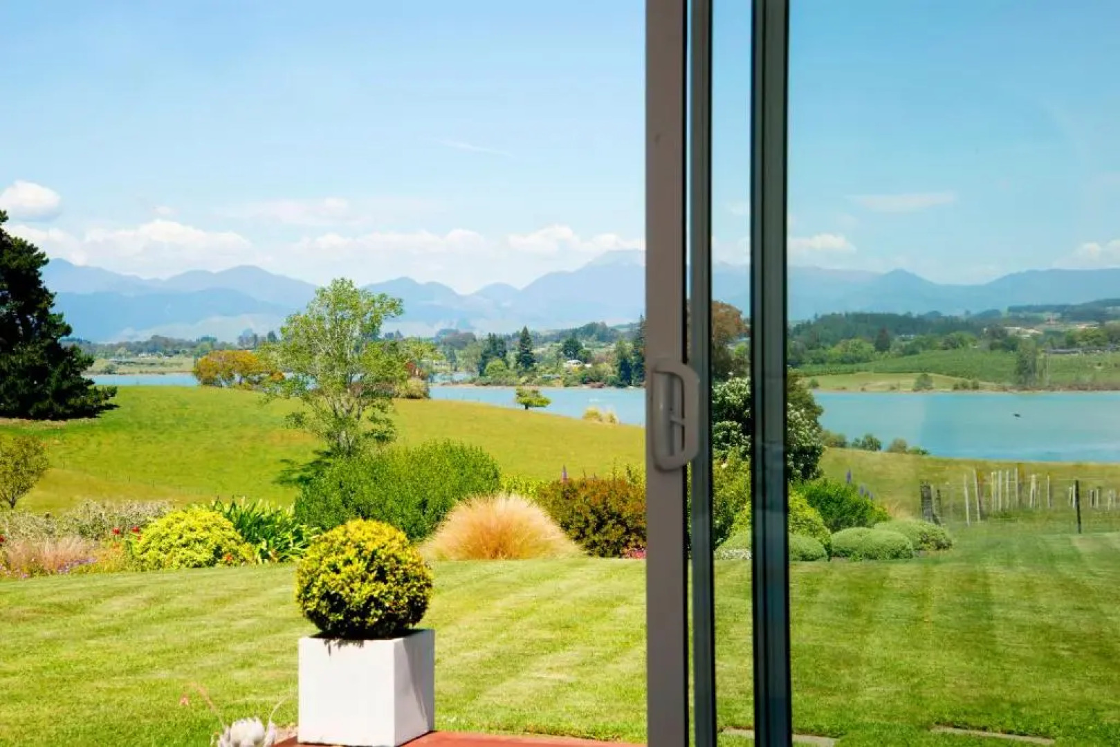 117 Higgs - Room With a View