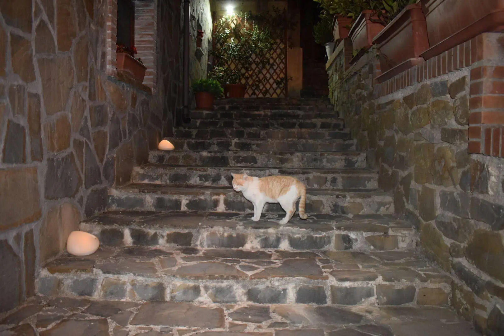 La Vecchia Taverna B&B