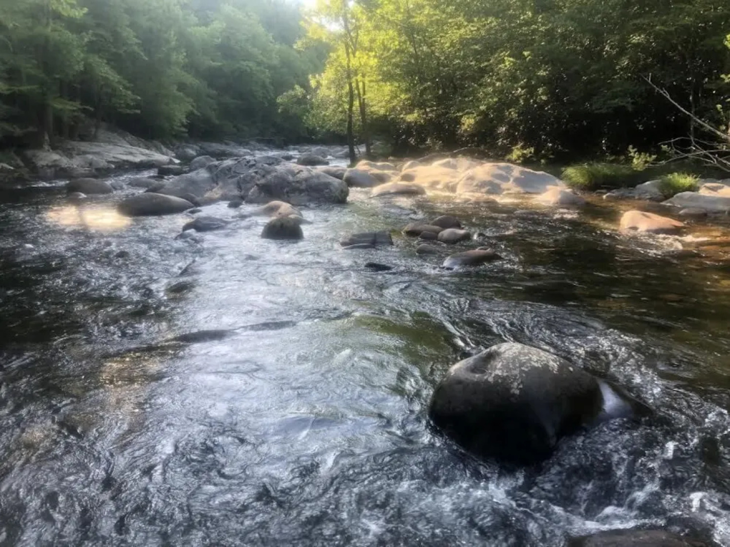 Sycamore Mansion - FourteenBedroom Cabin