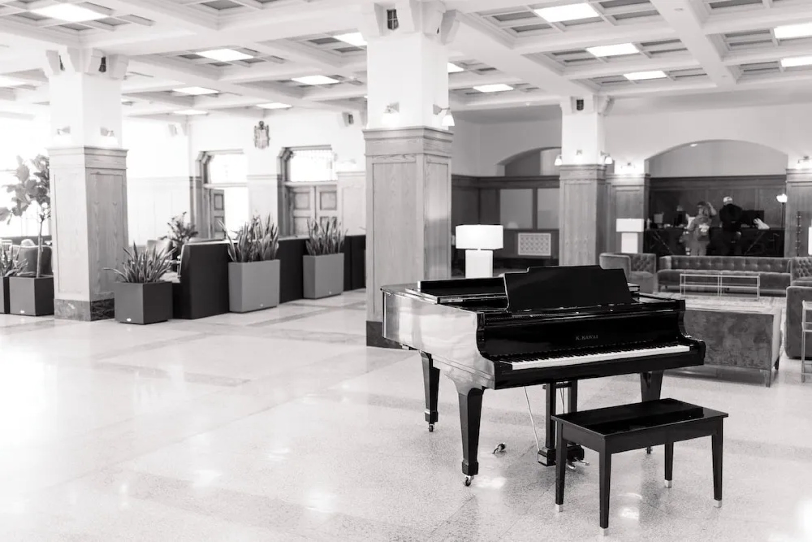 The Crazy Water Hotel