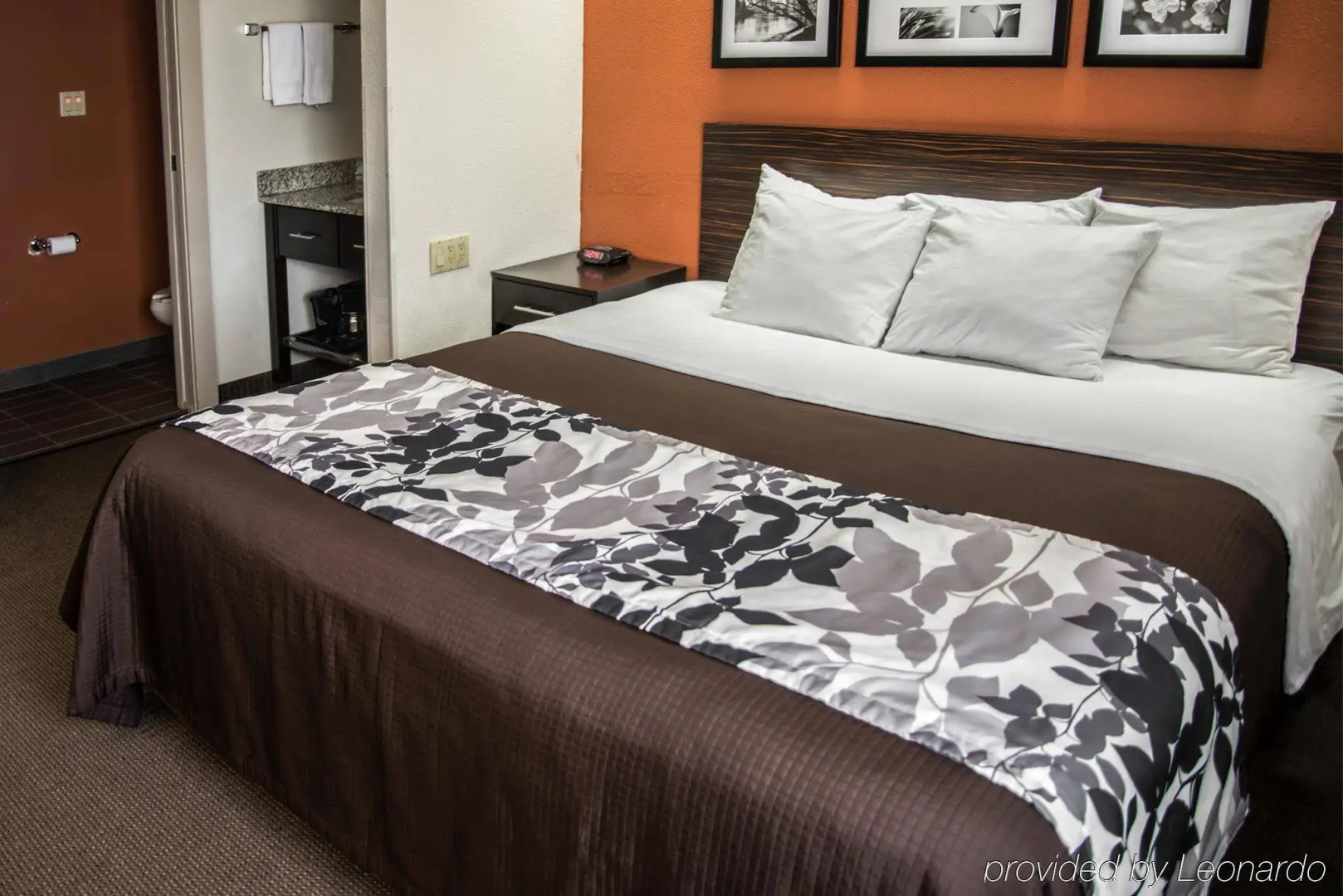 Sleep Inn DeWitt - Lansing North