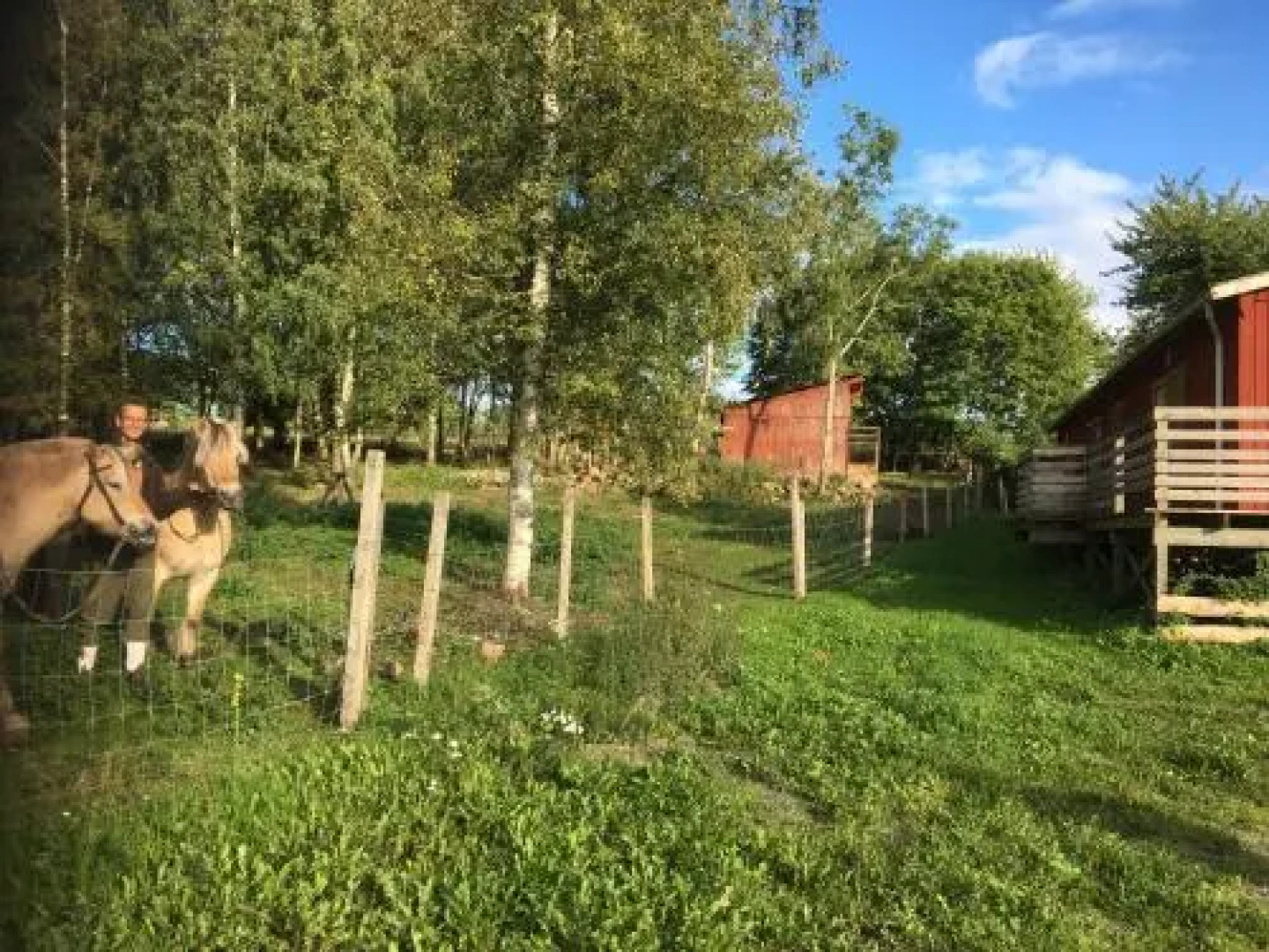 STF Lugnåsberget Hostel