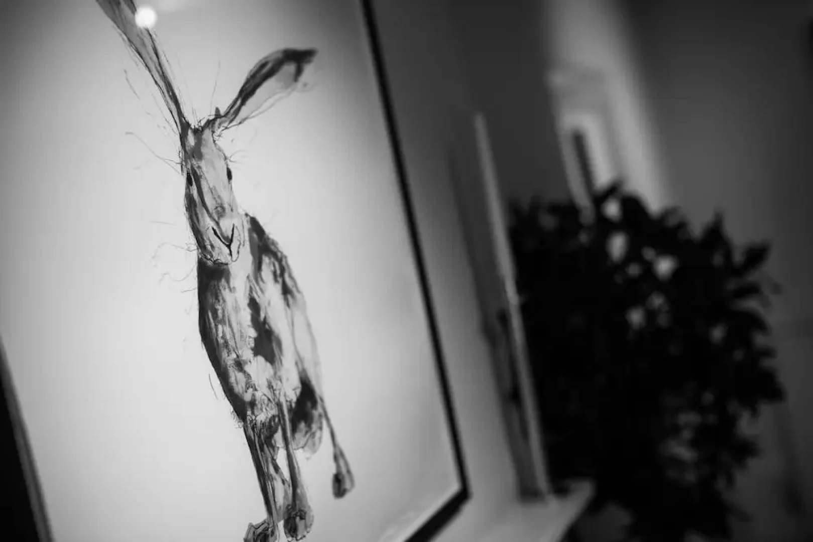 The Kings Hotel