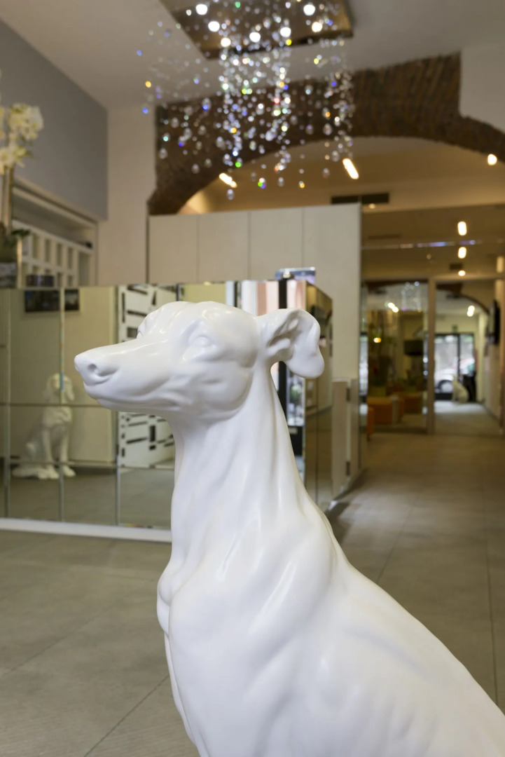 Avenue Boutique Hotel