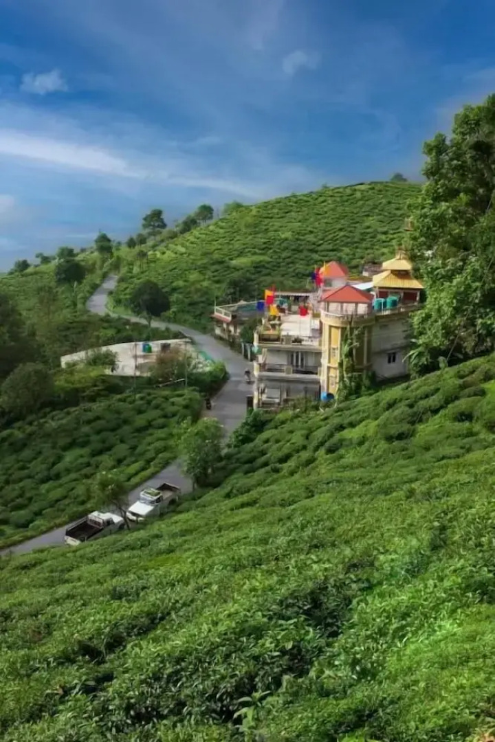 Traditional Hotel And Restaurant