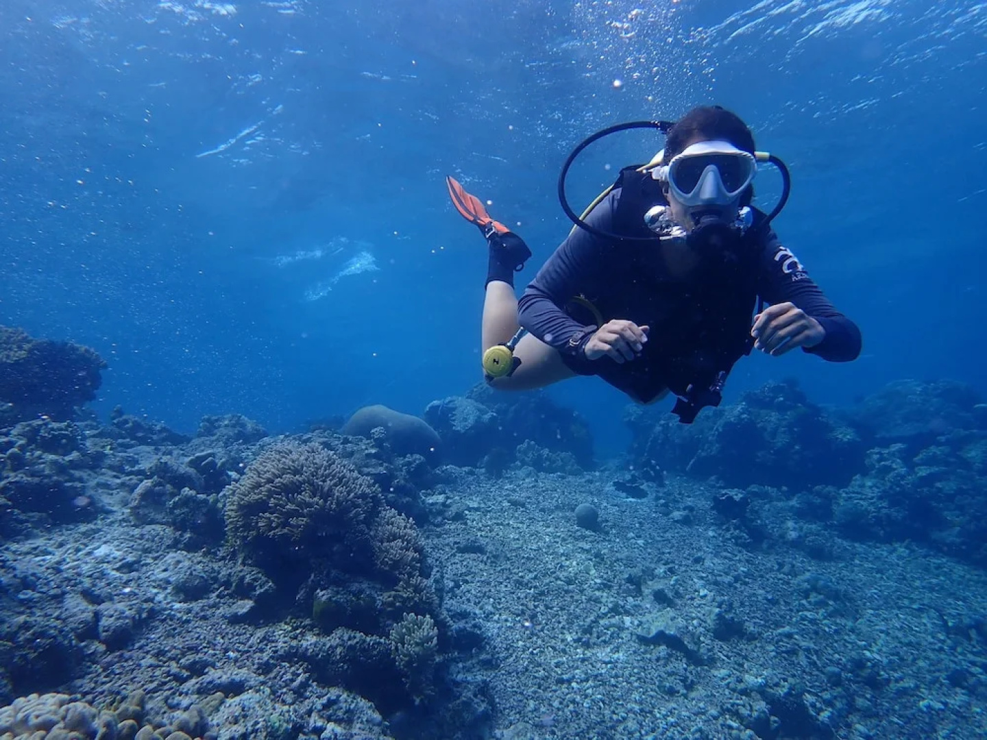 Hoga Island Dive Resort Wakatobi
