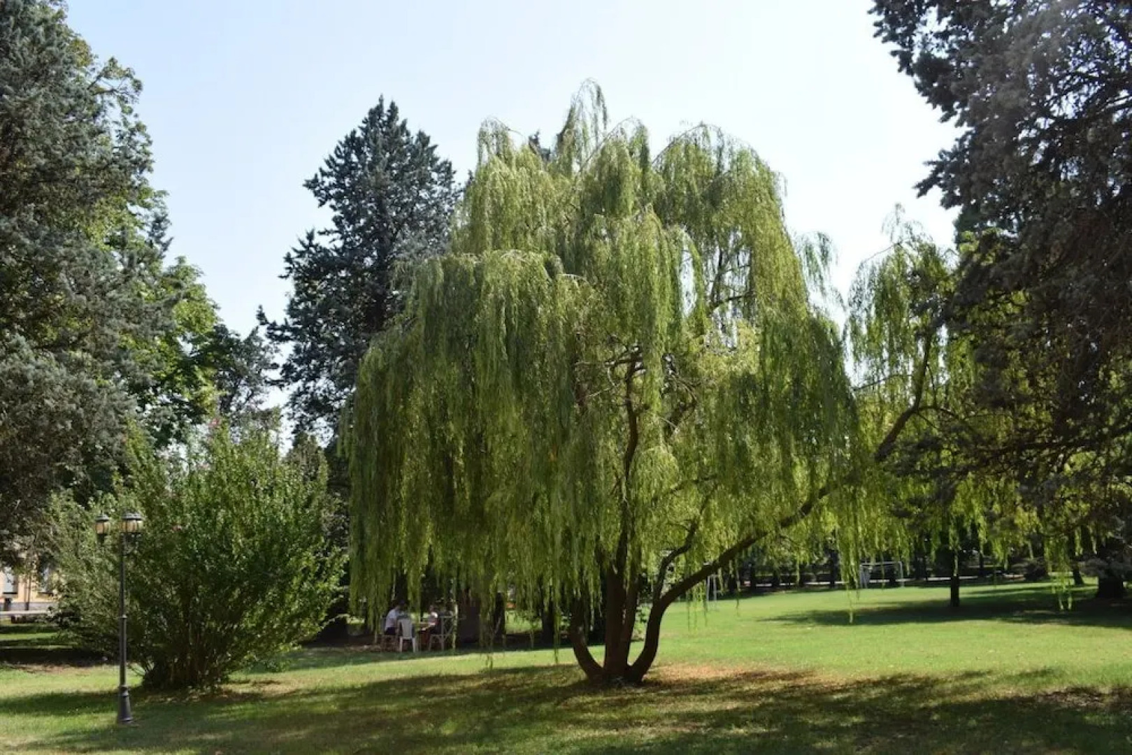 Bellotta Casa per Ferie