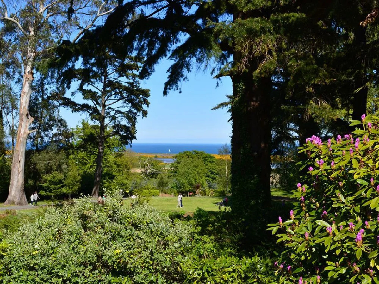 Tinakilly Country House Hotel & Restaurant