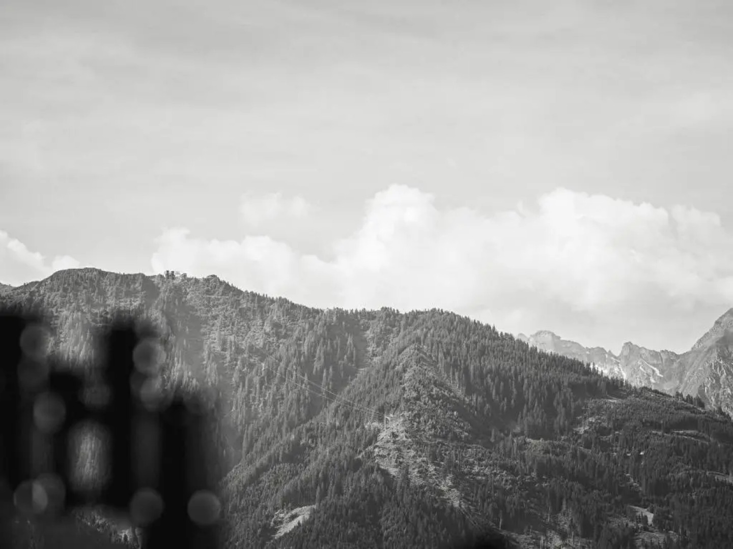 Hotel Garni Larcherhof