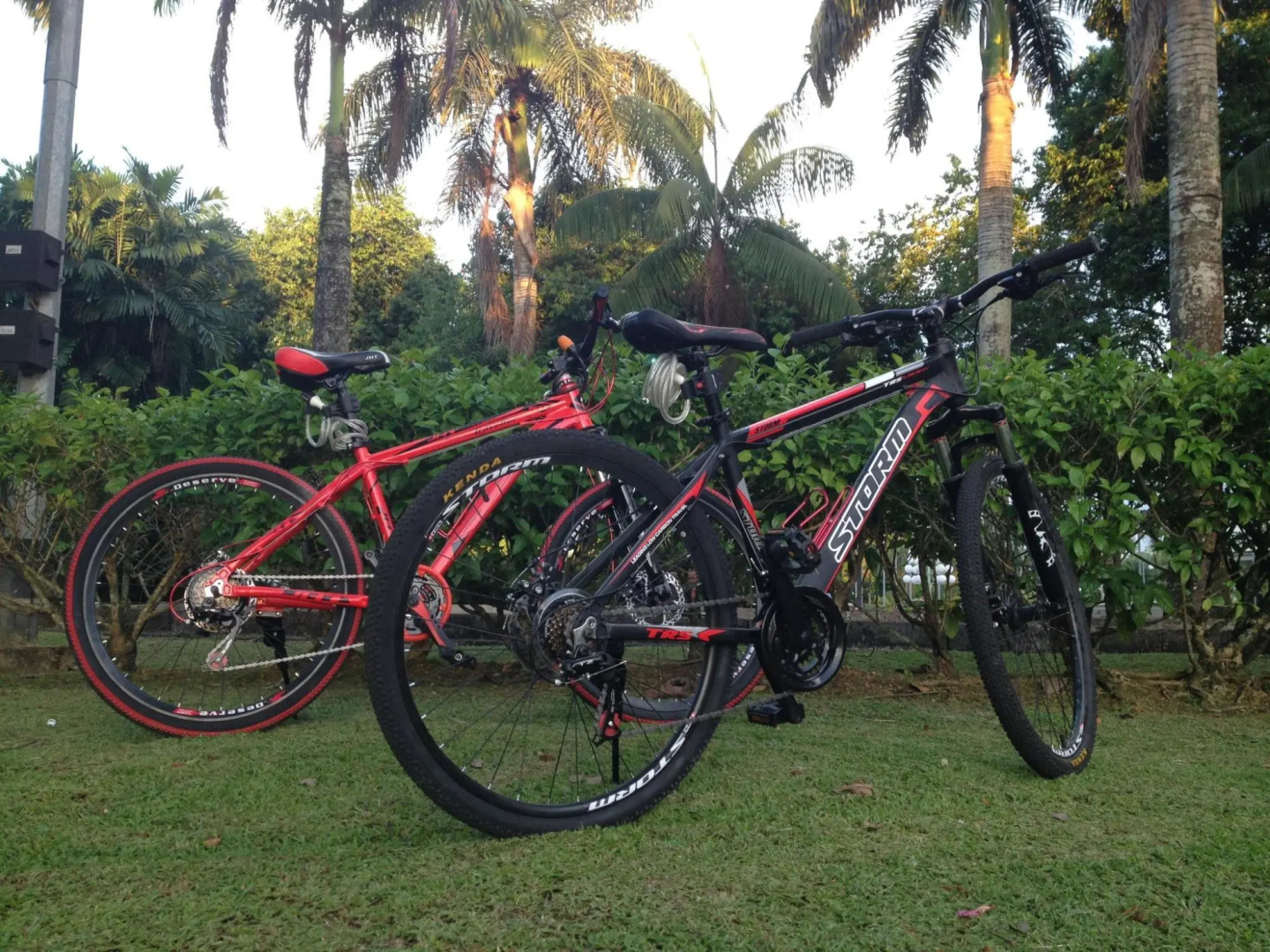 Borneo Seahare Guesthouse - Hostel