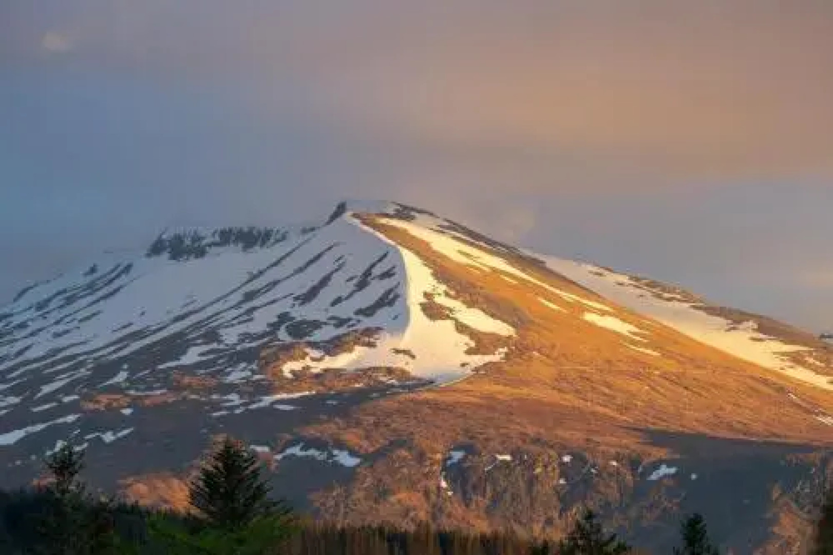 The Braes Guest House