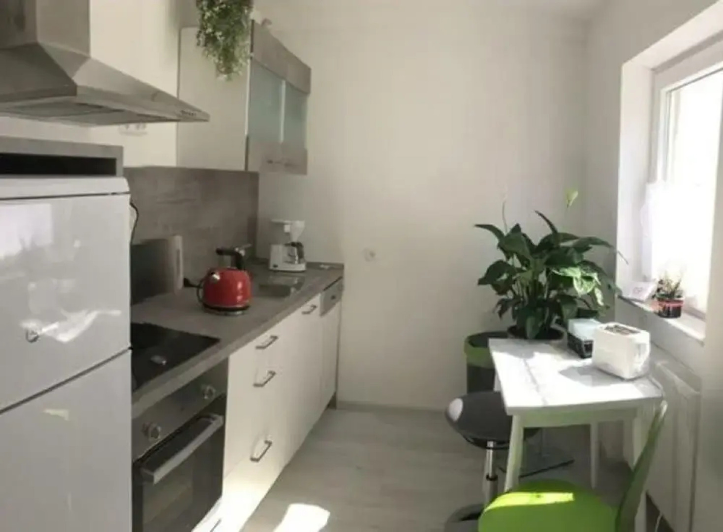 Apartment at the Edge of the Forest