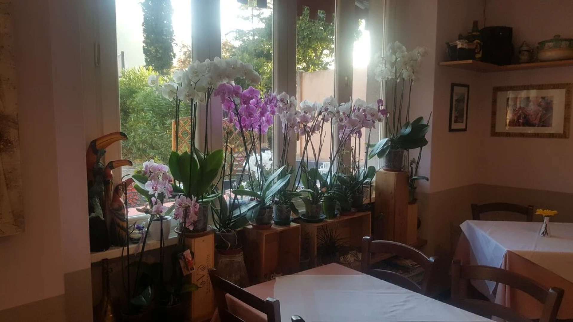 Caffè del Viaggiatore