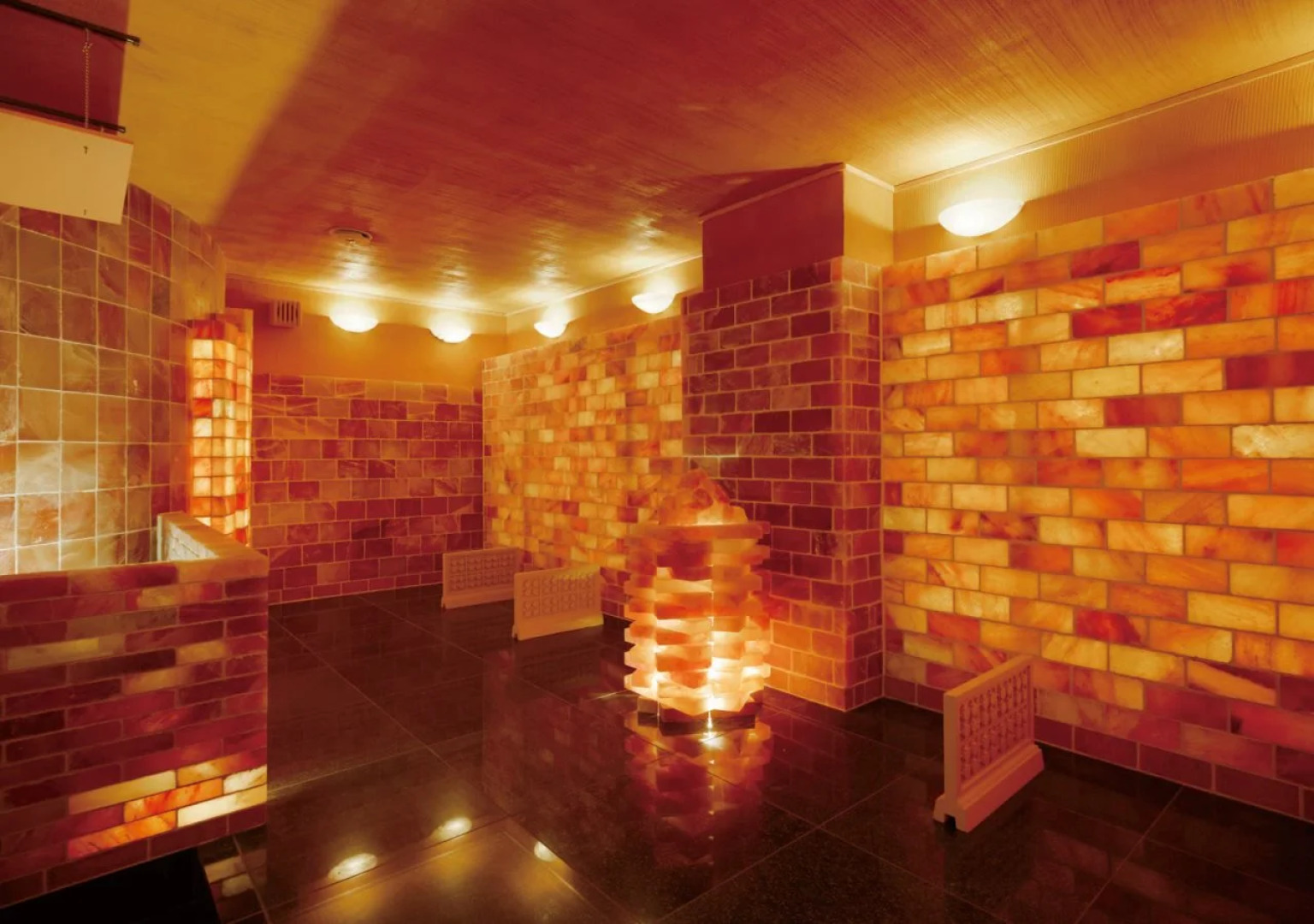 Sakuraan Kawaguchiko Hotel