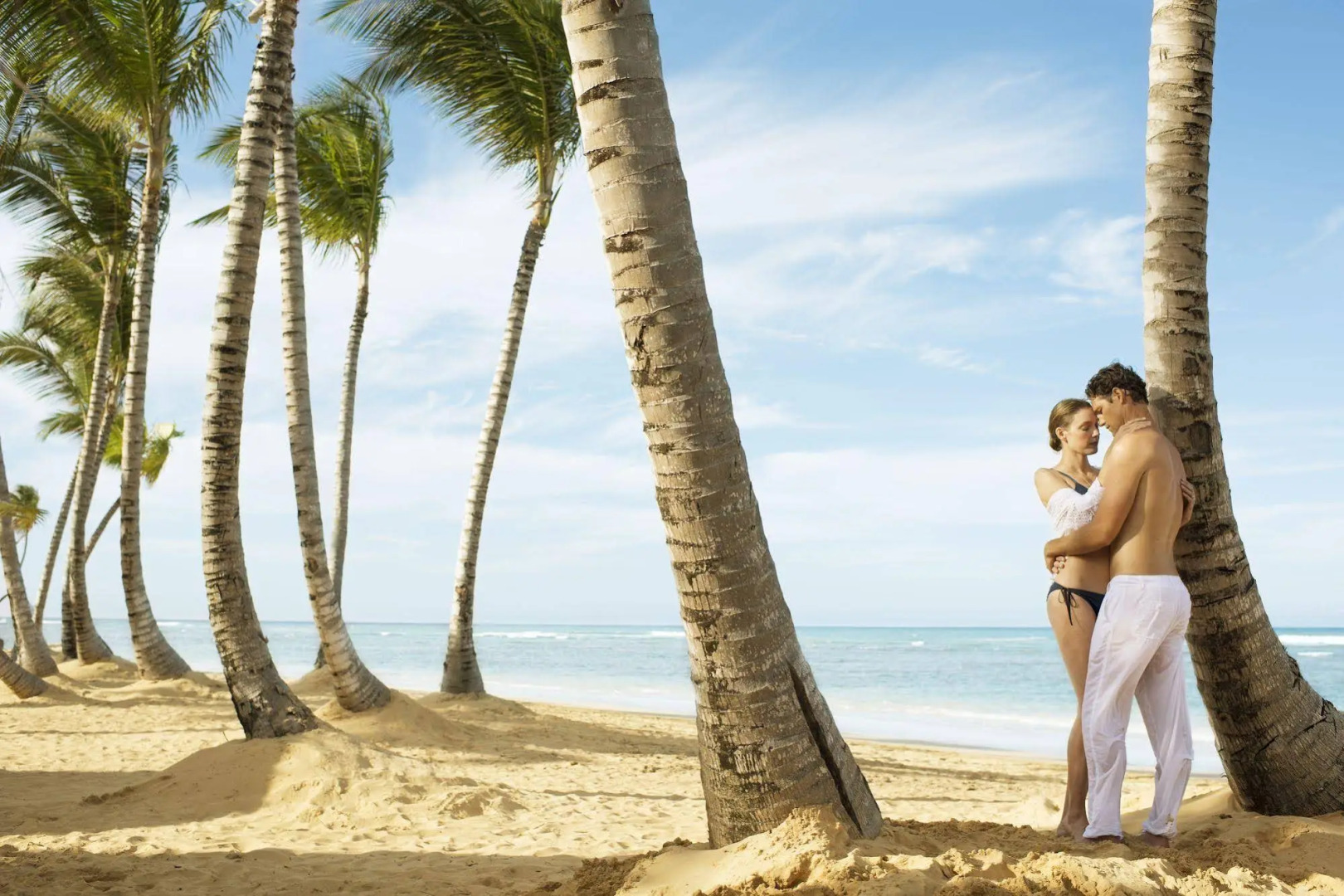 Excellence Oyster Bay