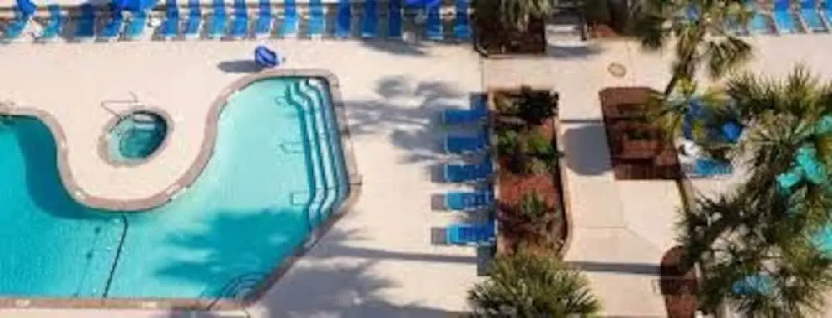 Festiva Pepper Tree Resort