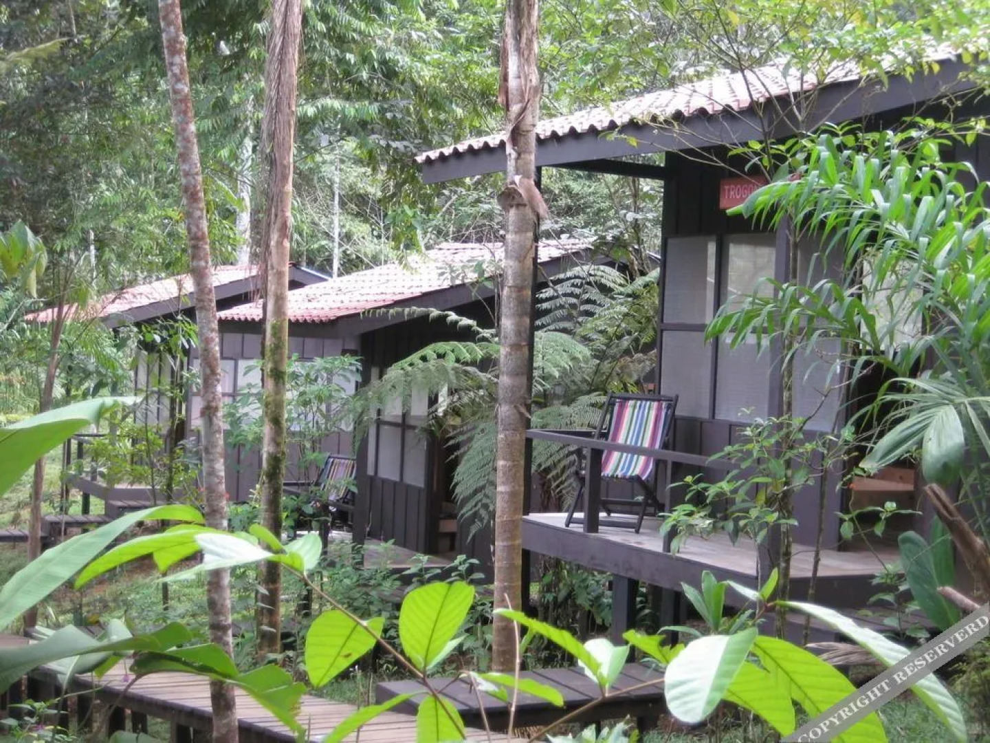 Yatama Ecolodge Sarapiqui