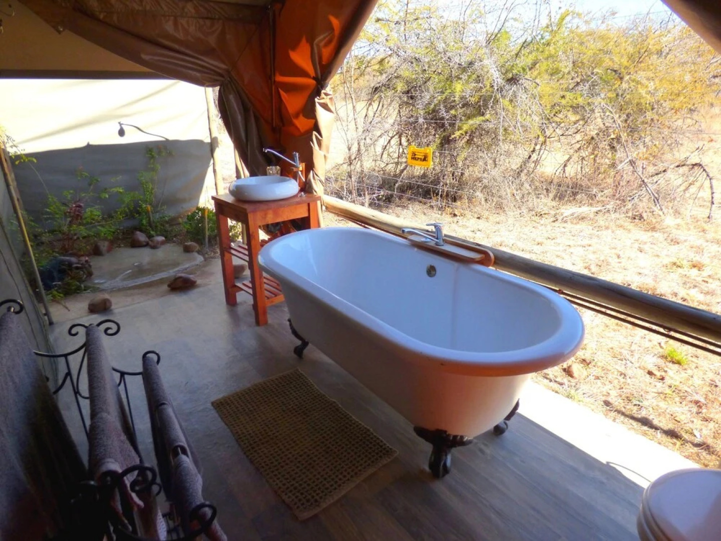 Thorn Tree Bush Camp