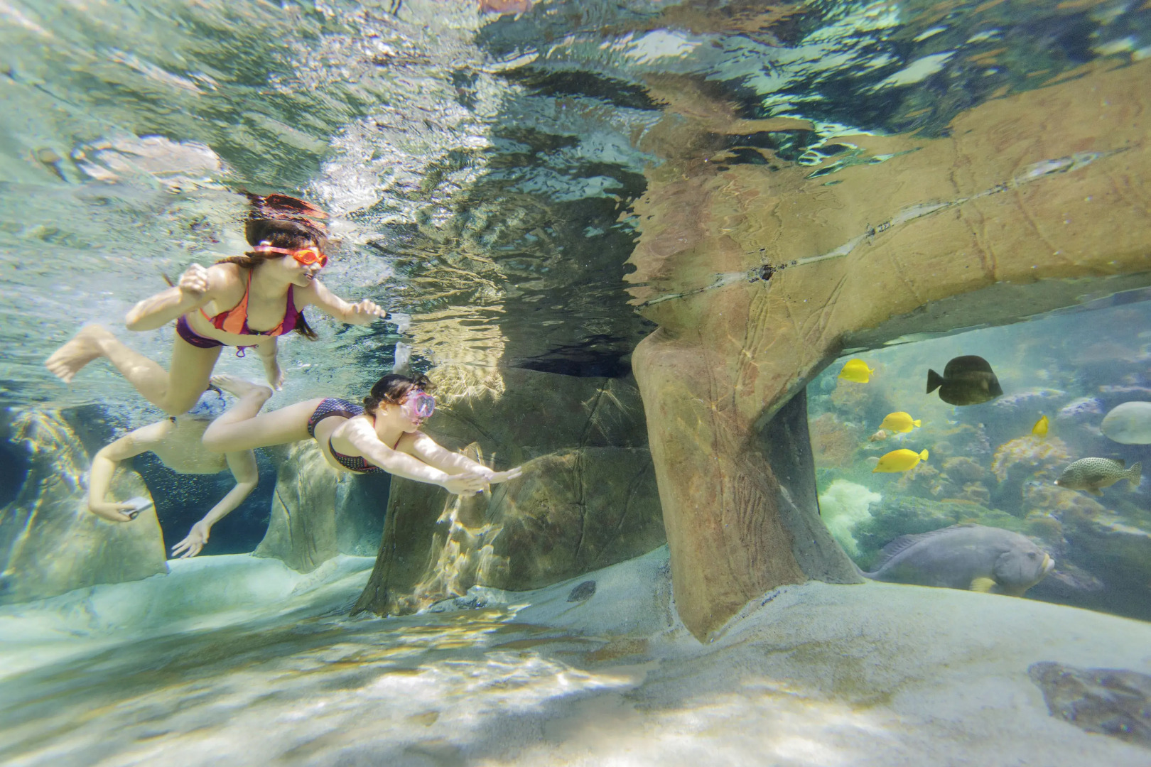 Hotel De Vossemeren by Center Parcs