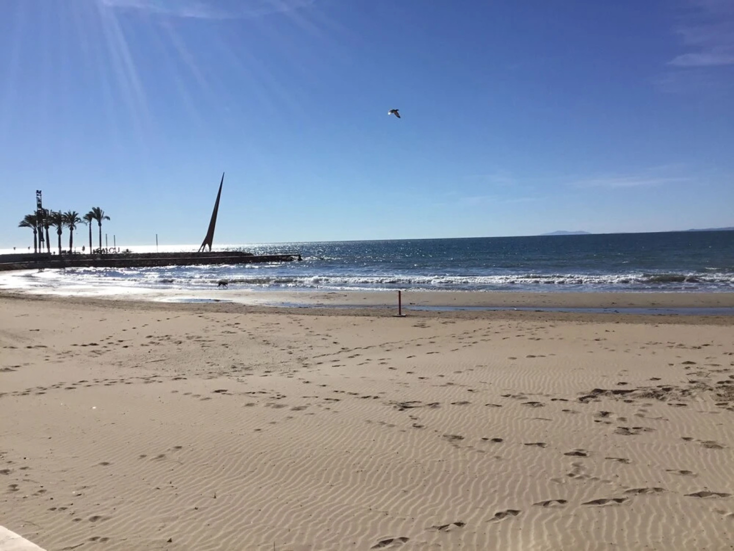 Apartamento Differentflats Barcino