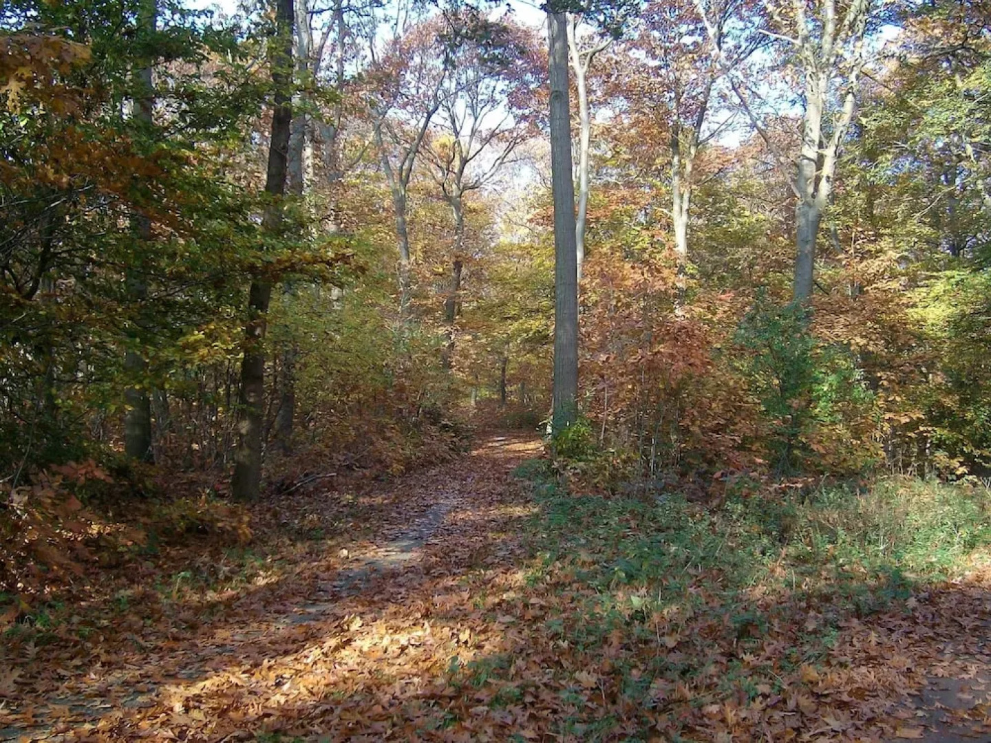 Quiet Glade Stay With Kid