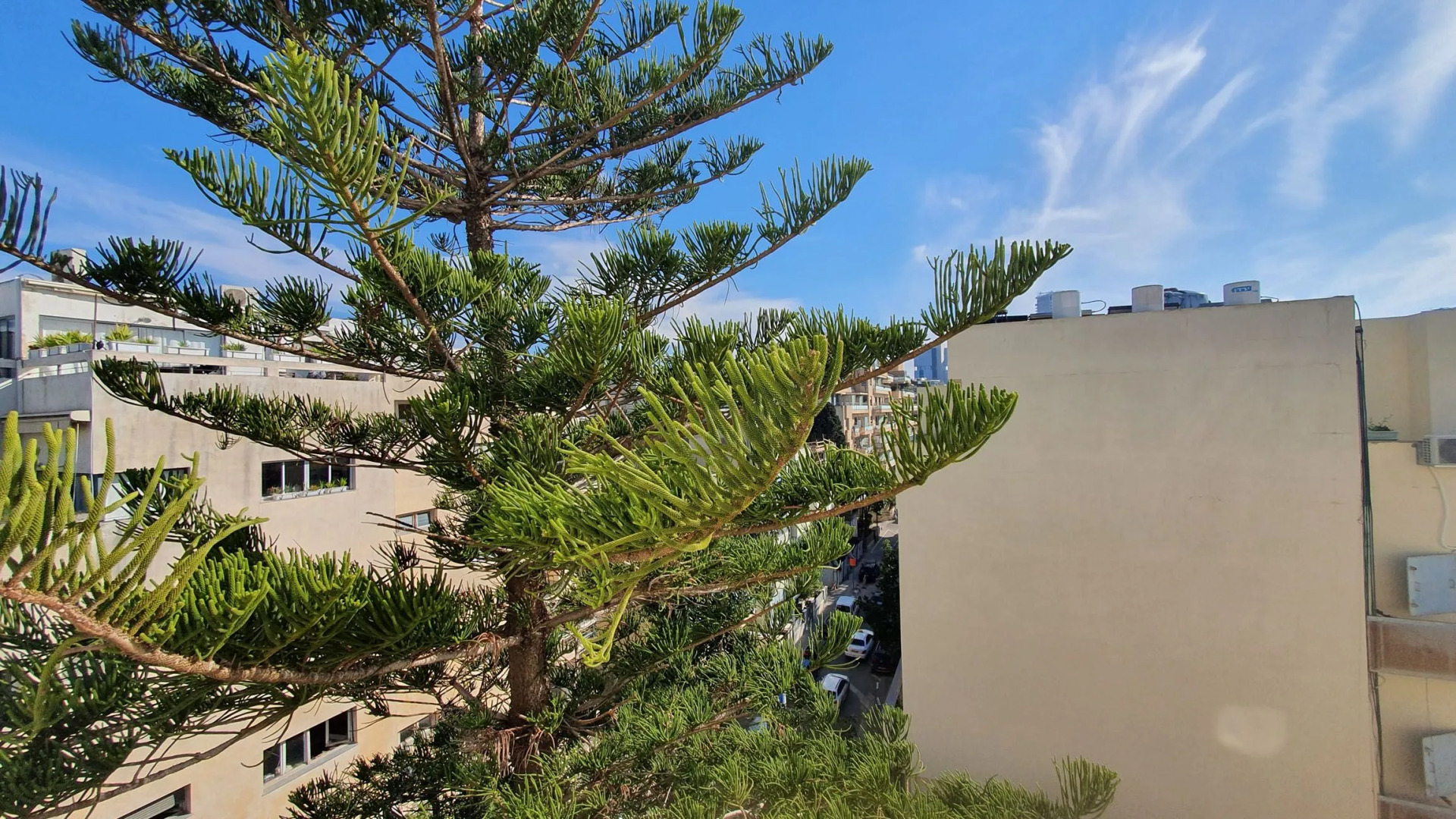 Apartment Nacre, 1BR, Tel Aviv, Lev Hair, Melchett St, #TL59