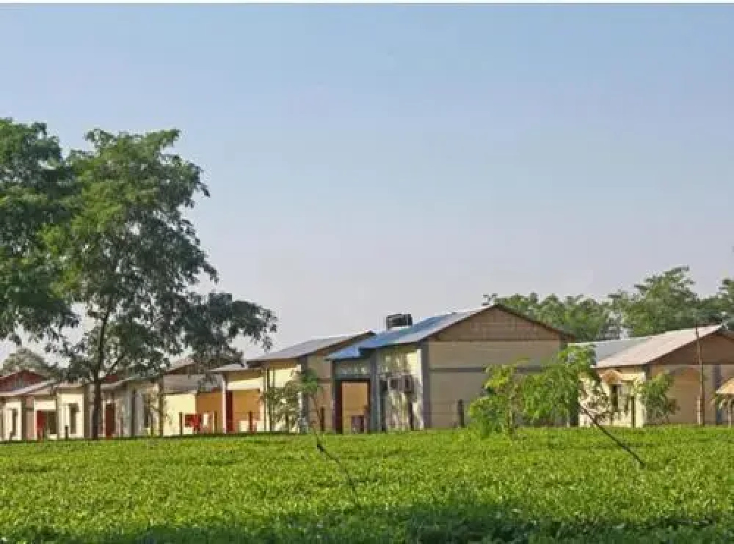 Mystic resort amidst Tea Garden