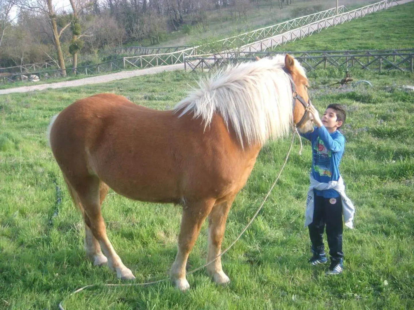 Aia di Lazzaro Country House