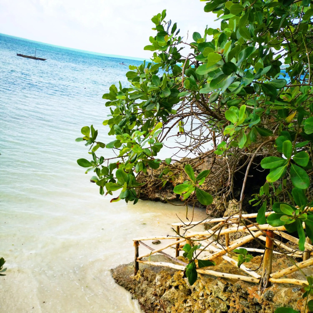 The Island - Pongwe Lodge - Adults Only