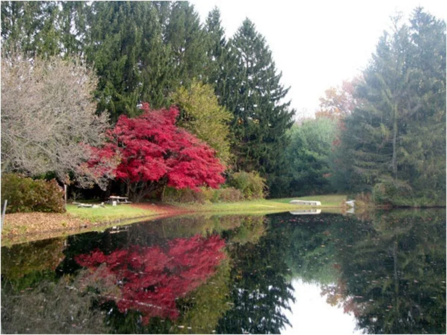 Le Petit Chateau Inn