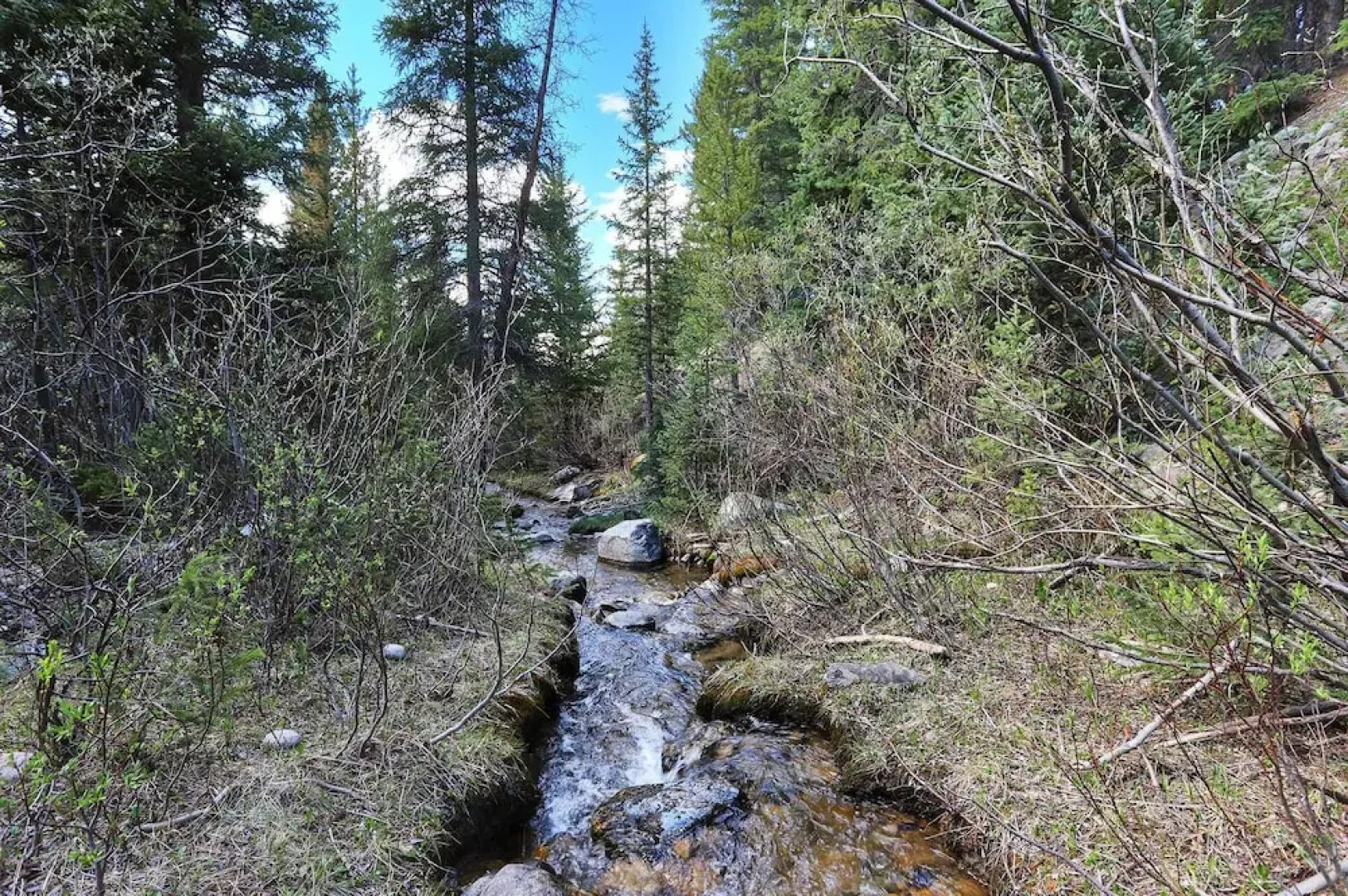 Twin Creek Lodge 7 Bedroom Home by RedAwning