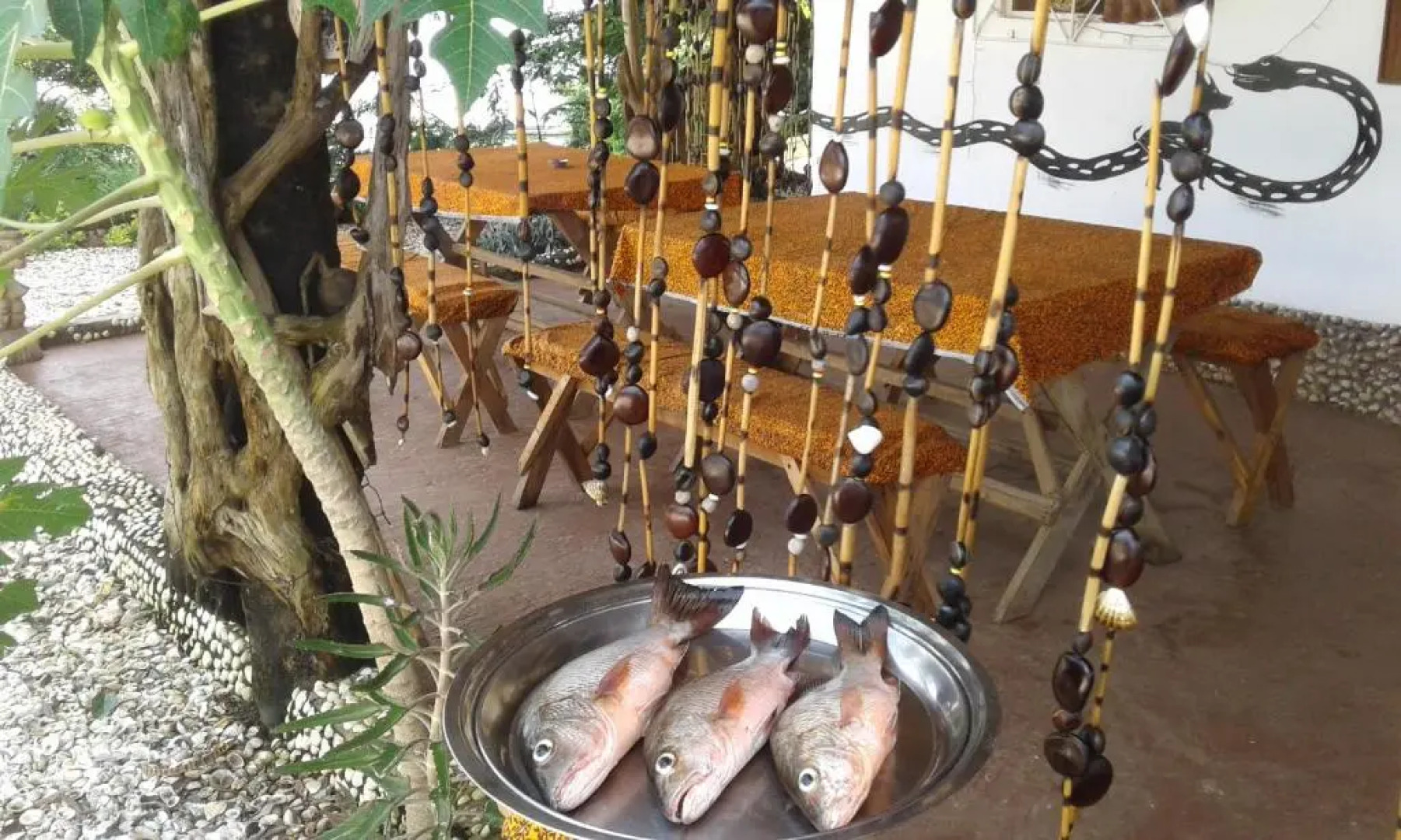 Saldomar B&Biosphere