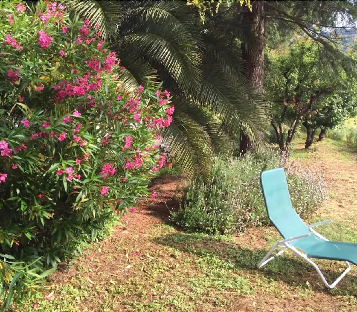 B&B il giardino aromatico