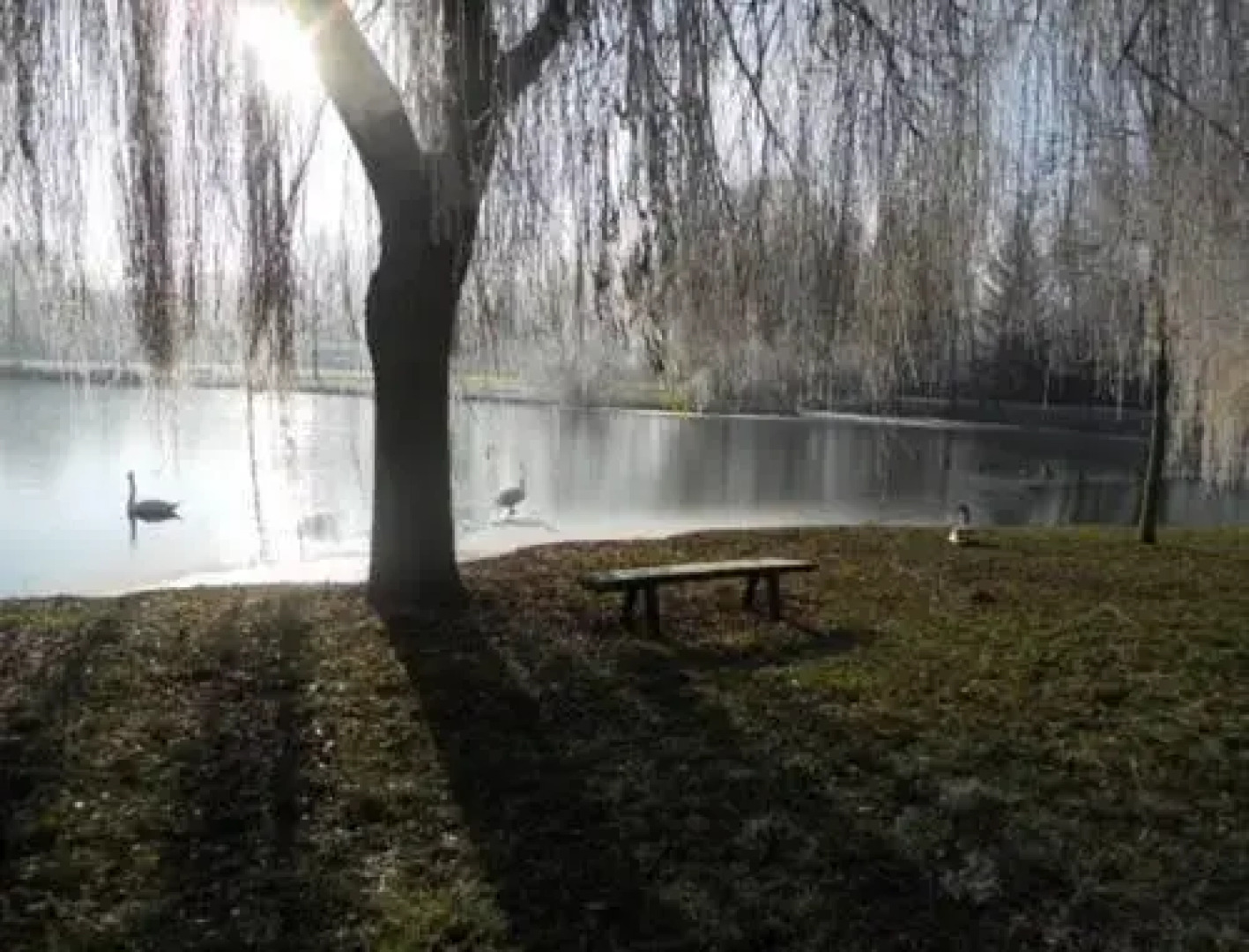 Camping De LAigrette