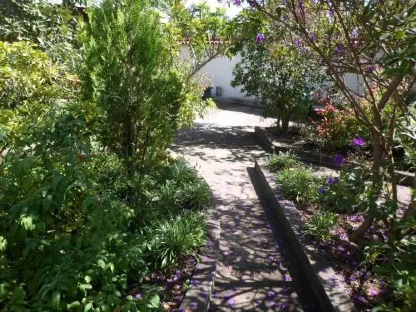 Hotel La Casa de David