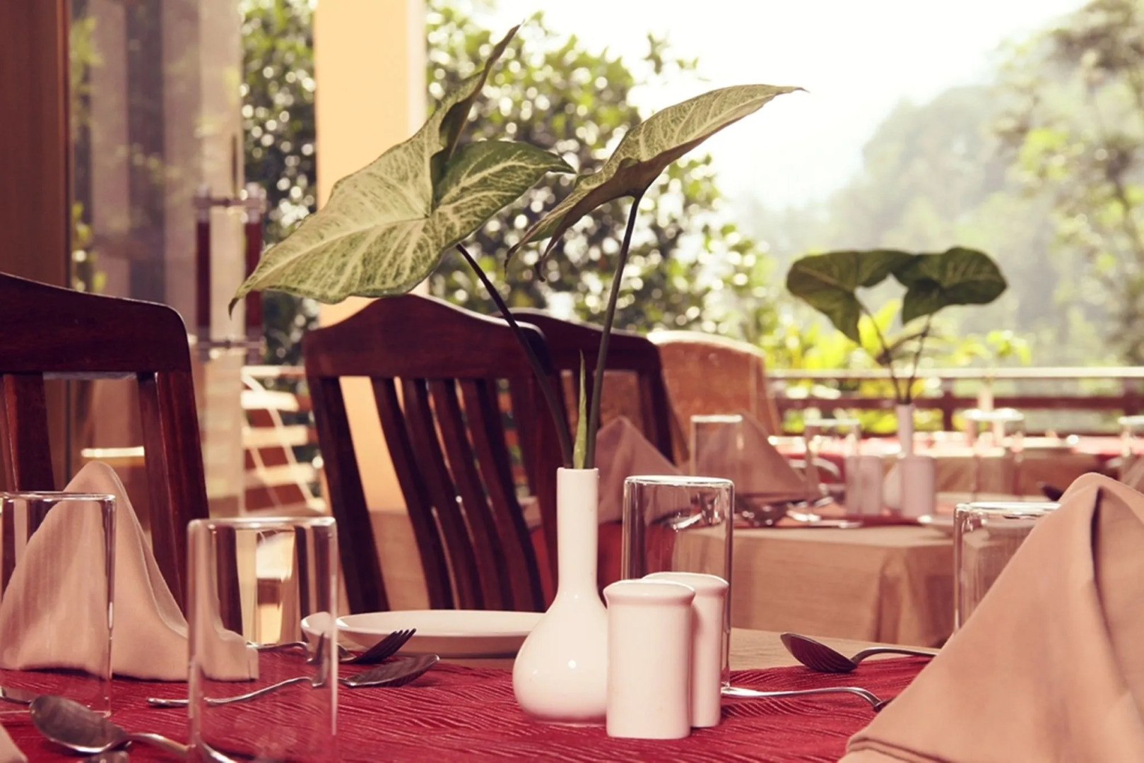 Oxygen Resorts Wild Corridor