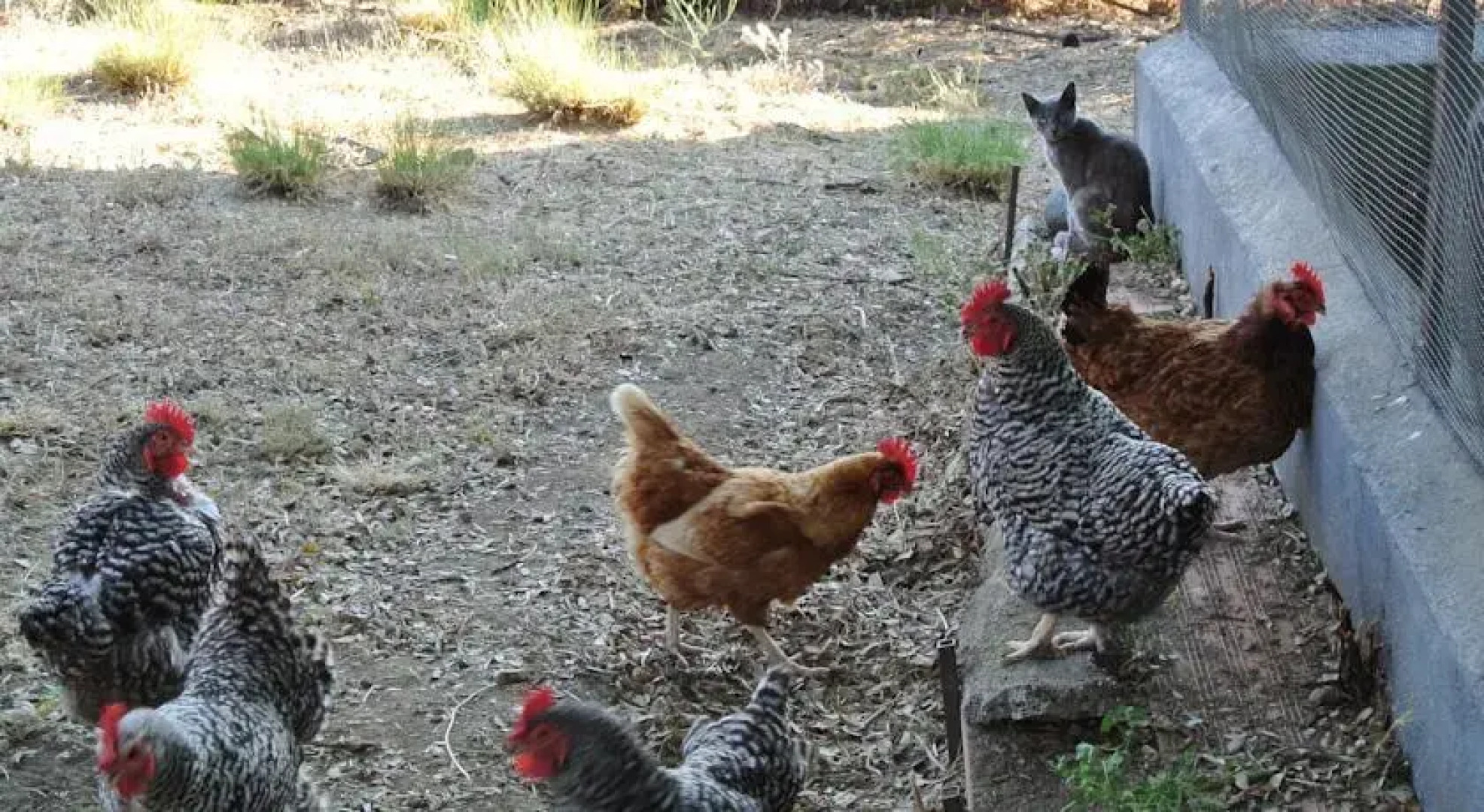 Casa Rural Puerto Carretas