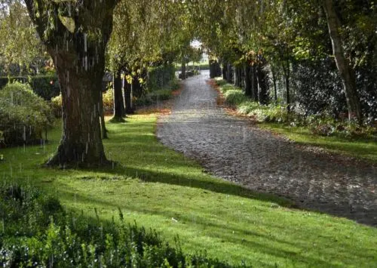 B&b Spoor62