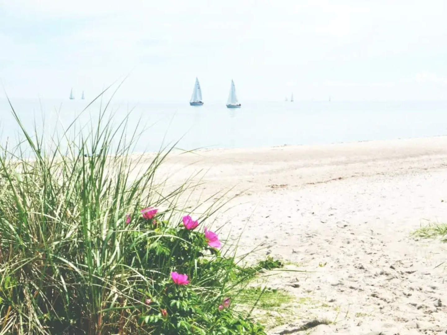 Cathedral day "key West"