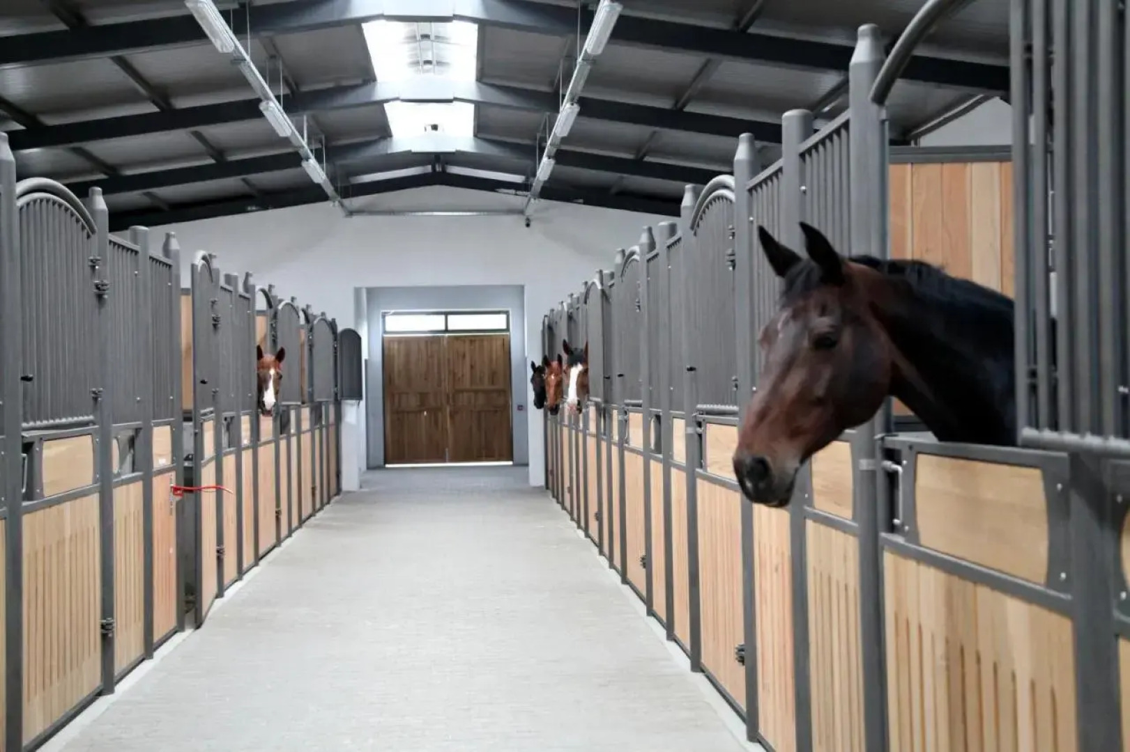 Boutique Complex Trakiets