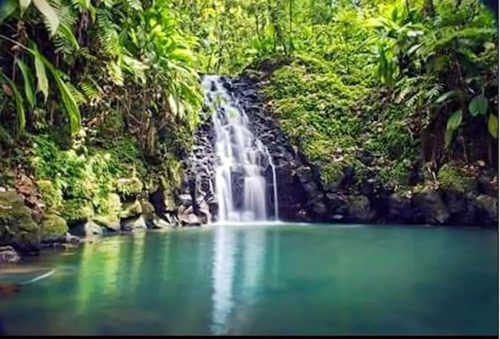 Apartment With in Capesterre Belle Eau With Wonderful sea