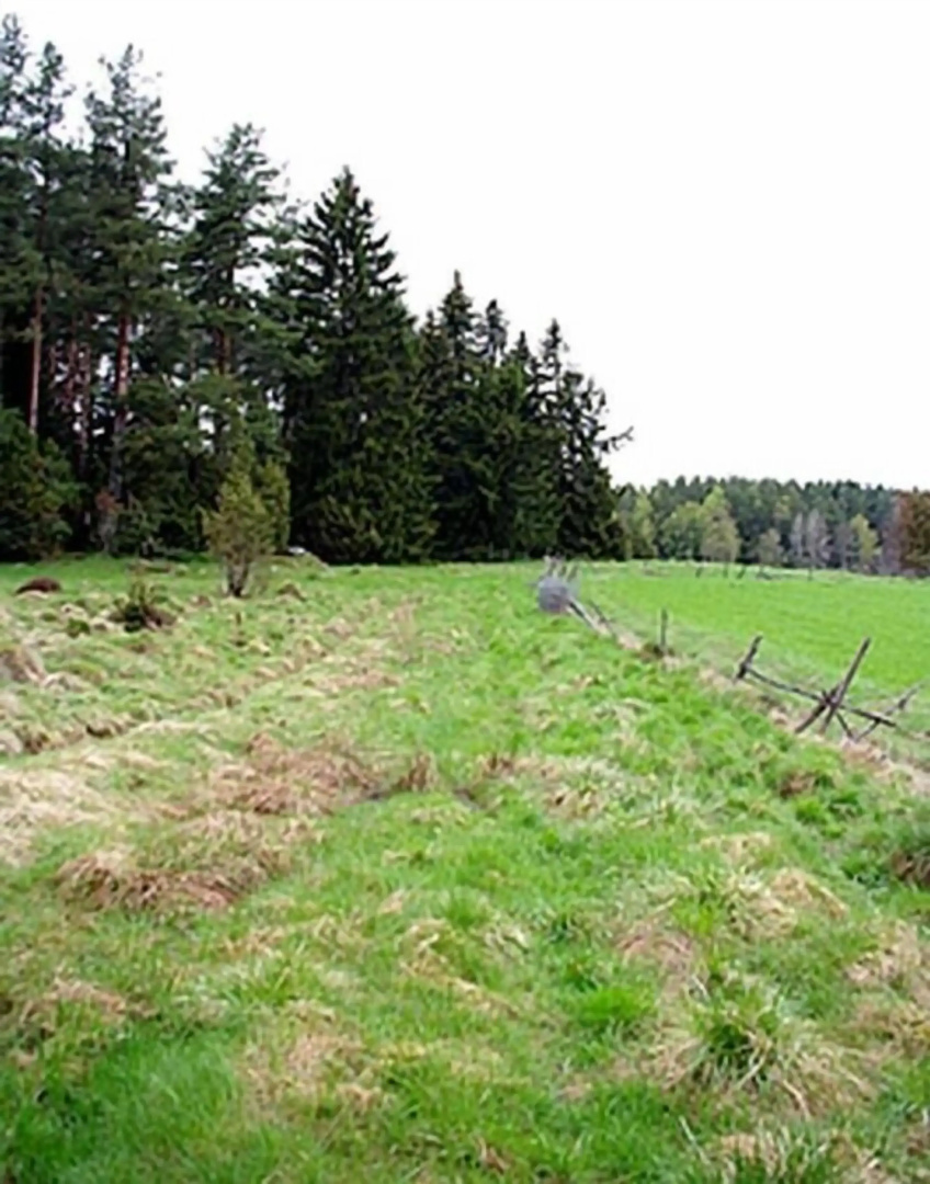 Smultronboda Fårgård