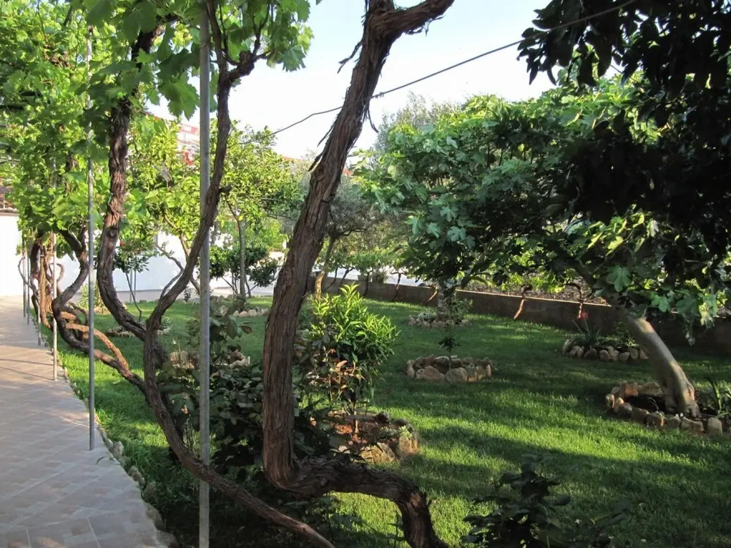 Blue - 200 m From sea - Sa13