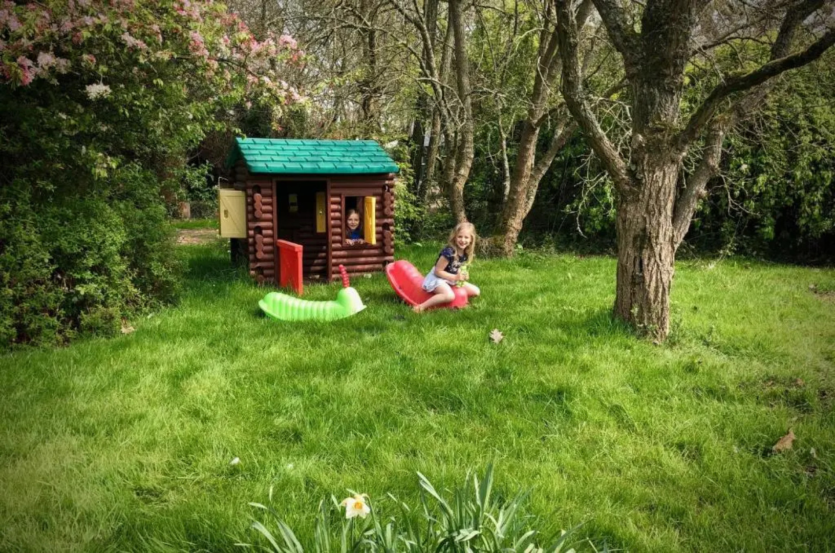 Luxurious Rural Cabin