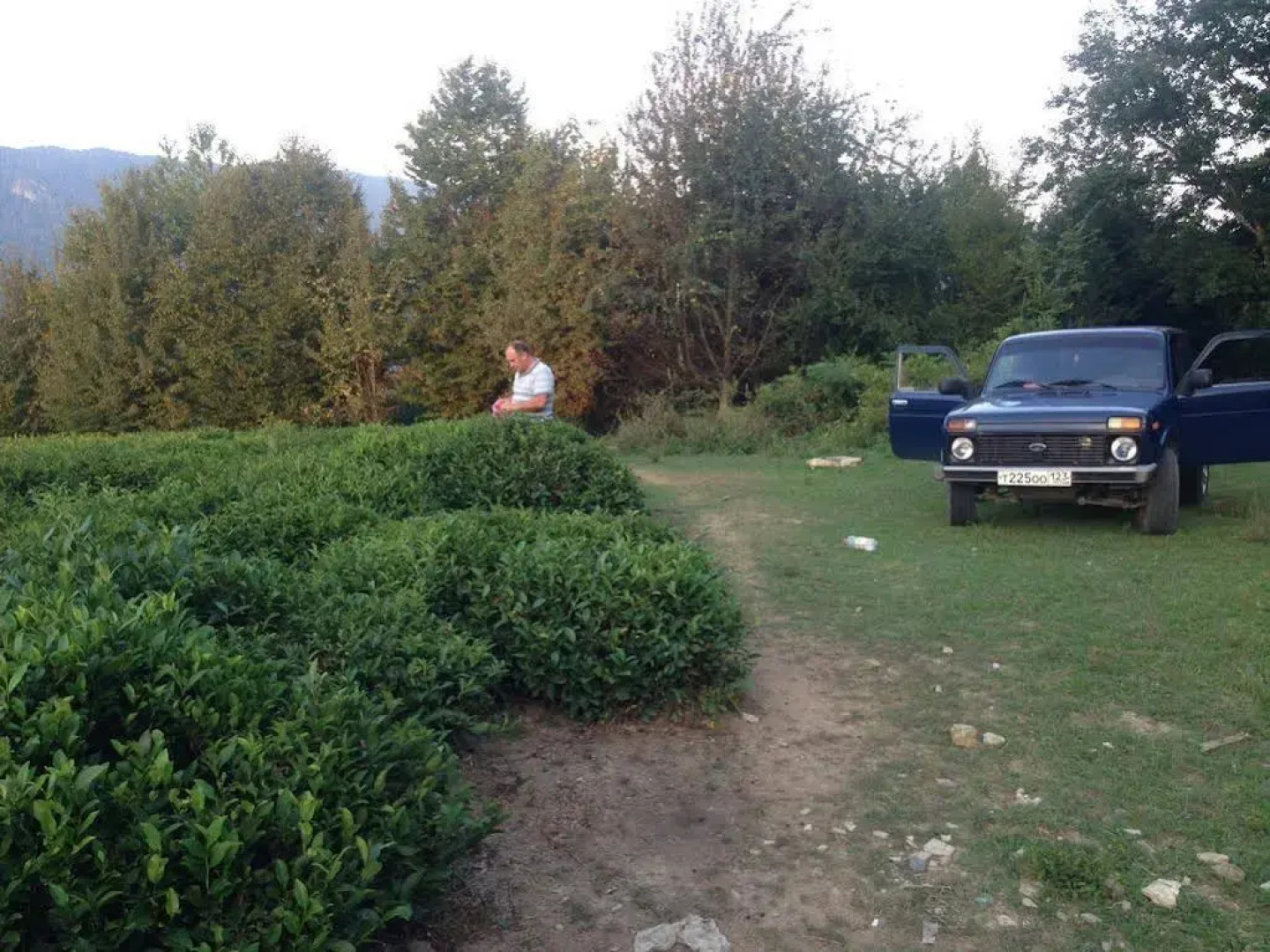 Гостевой Дом Ариал