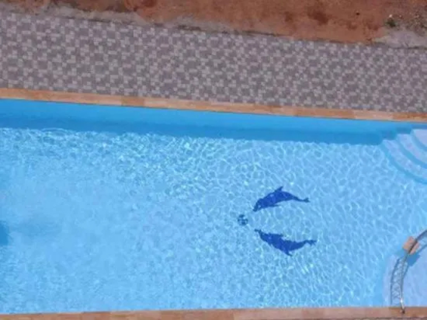 Hotel Lemurian Heritage