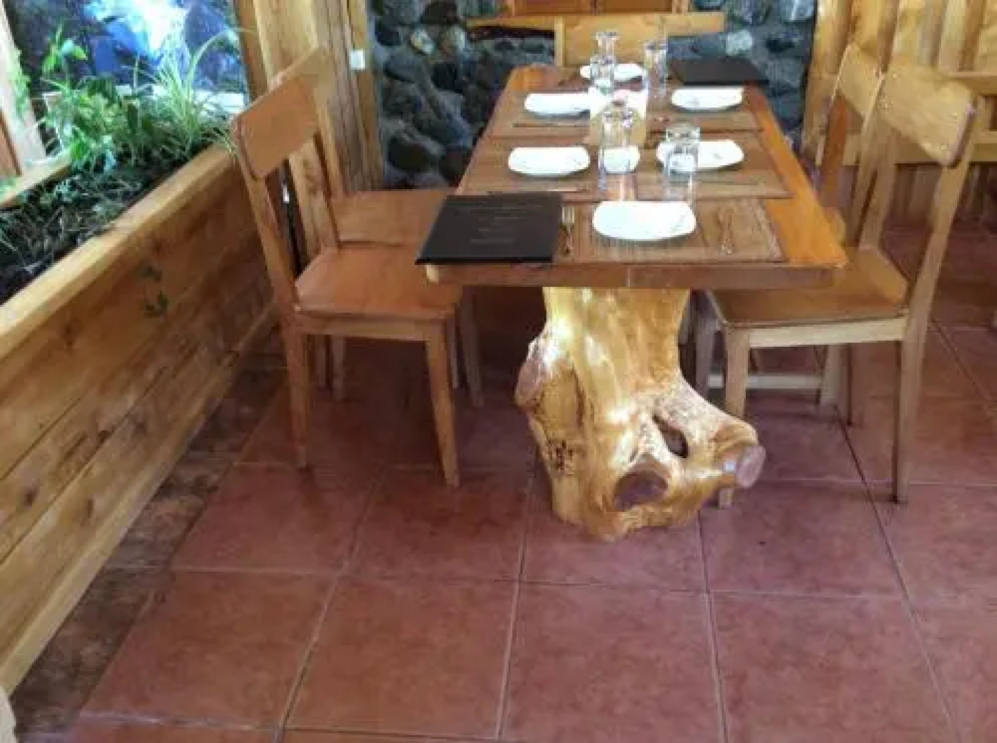 Los Mañíos Del Queulat