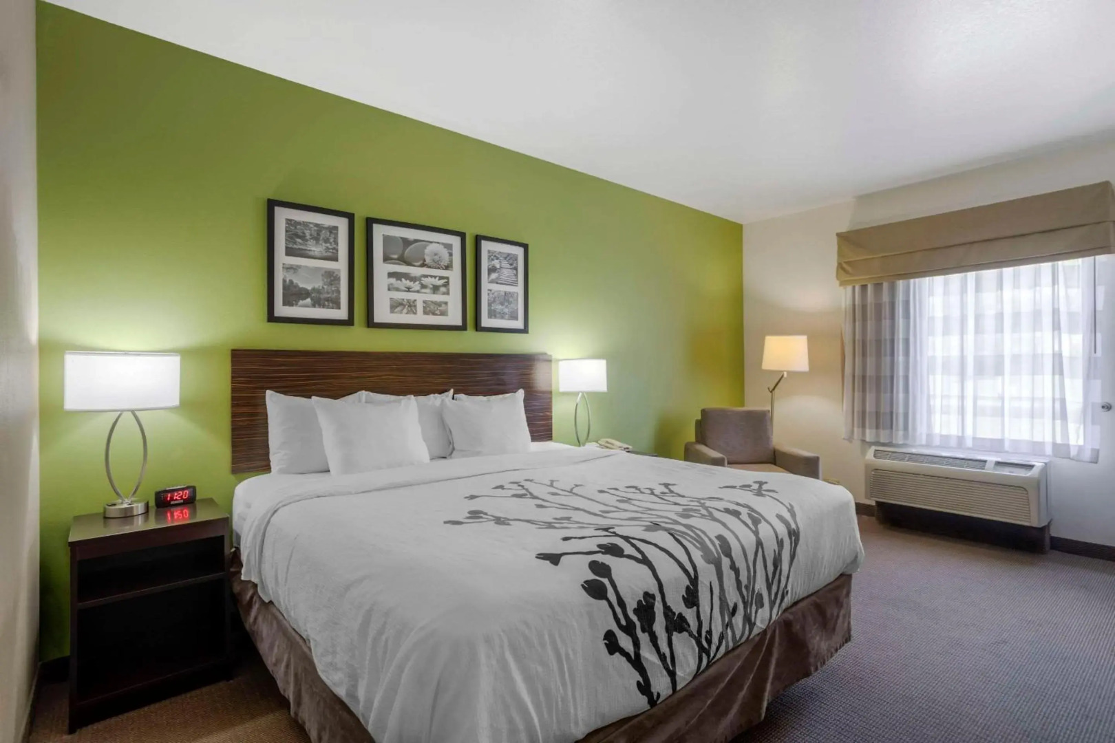 Sleep Inn & Suites Cave City