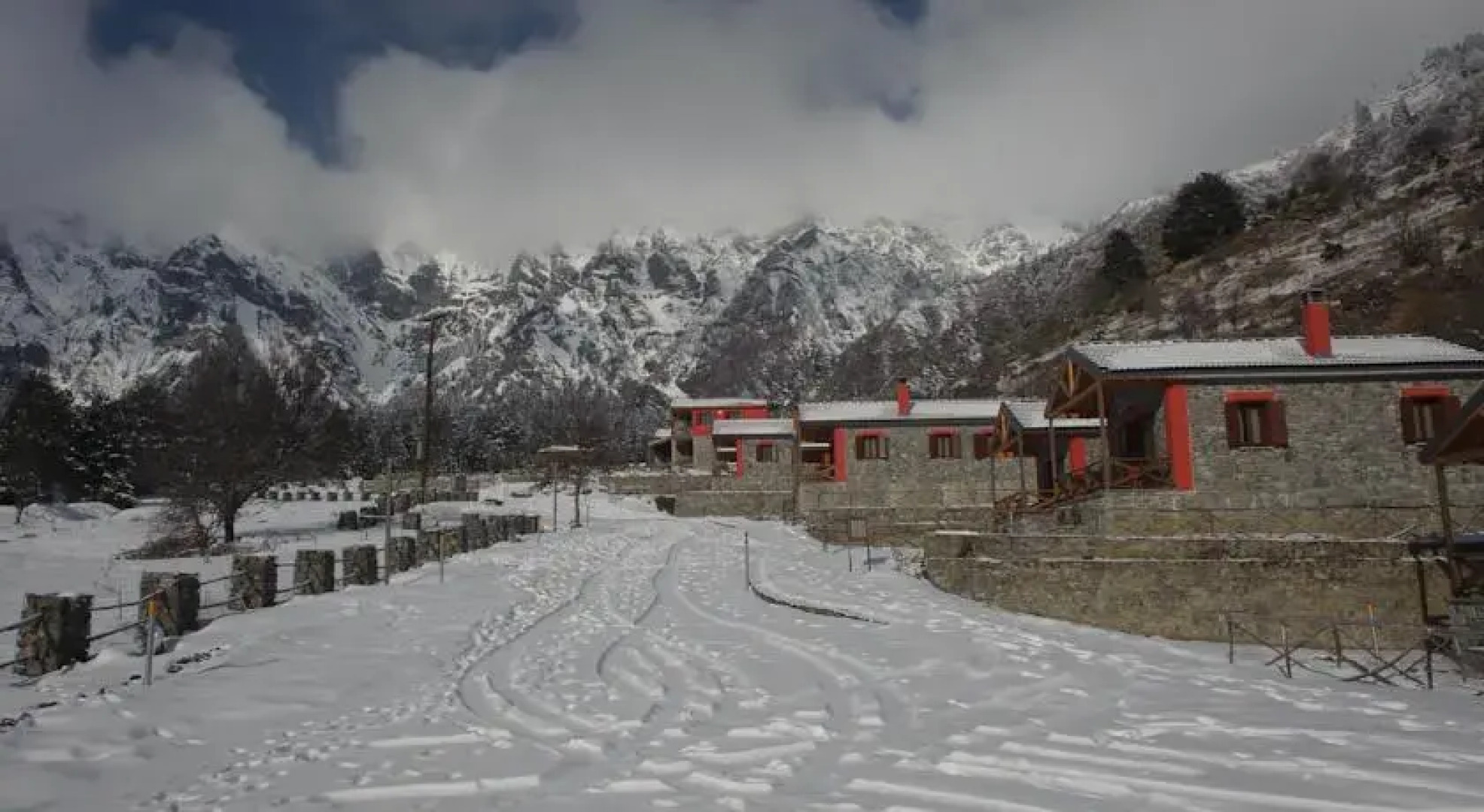 Agriolouloudo Grammou